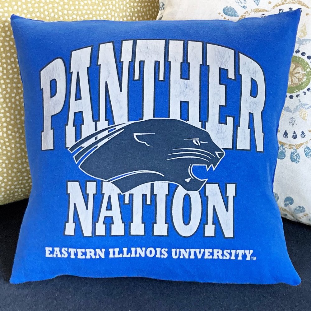 Eastern Illinois University EIU Panthers t shirt 16 x 16 throw pillow cover